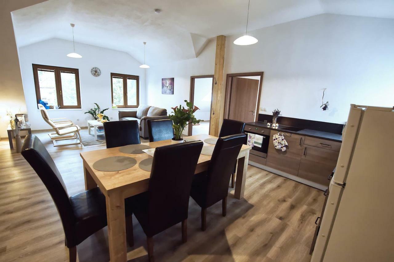 "U Capa" Krasny Apartman V Sedleci Sedlec  Exterior foto